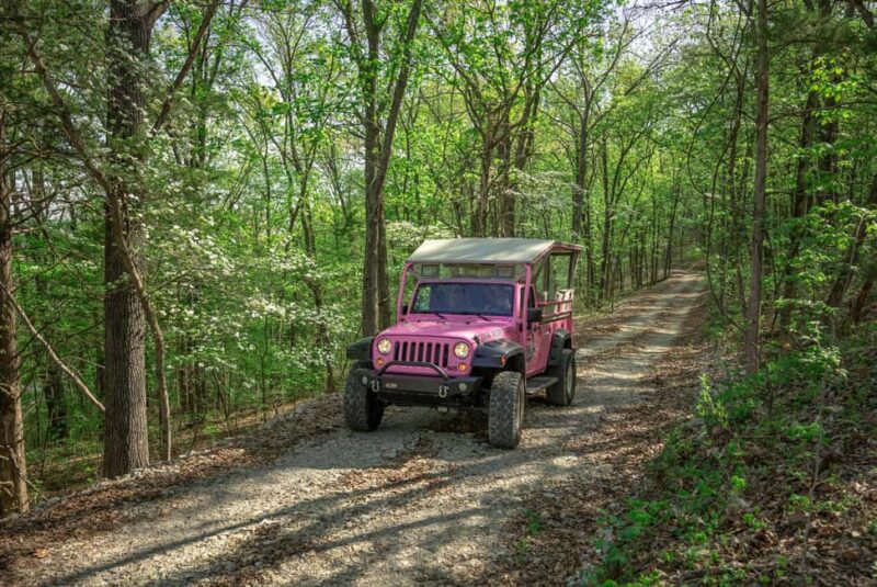 Branson: Downtown to Mountaintop Pink Jeep Adventure - Baird Mountain and Its 4x4 Excitement