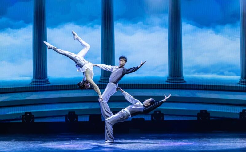 Branson: Grand Shanghai Circus Show Entry Ticket - Accessibility and Practical Details for Attendees