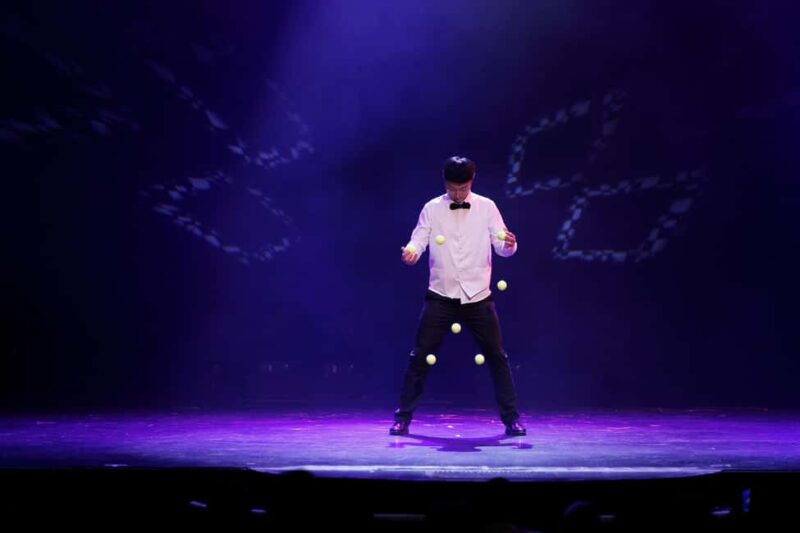 Branson: Grand Shanghai Circus Show Entry Ticket - The Theater Environment and Audience Experience