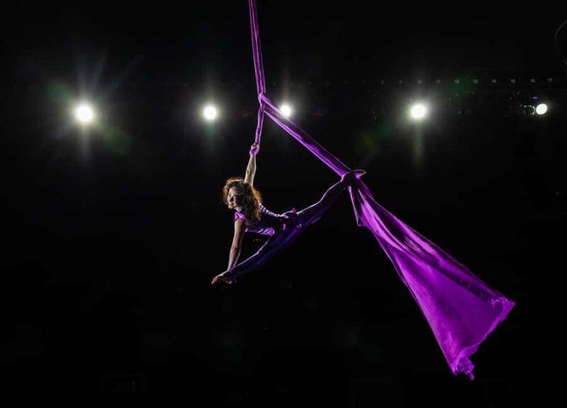 Branson: Hamners' Unbelievable Variety Show Entry Ticket - Dynamic Entertainment in Branson: Hamners Unbelievable Variety Show