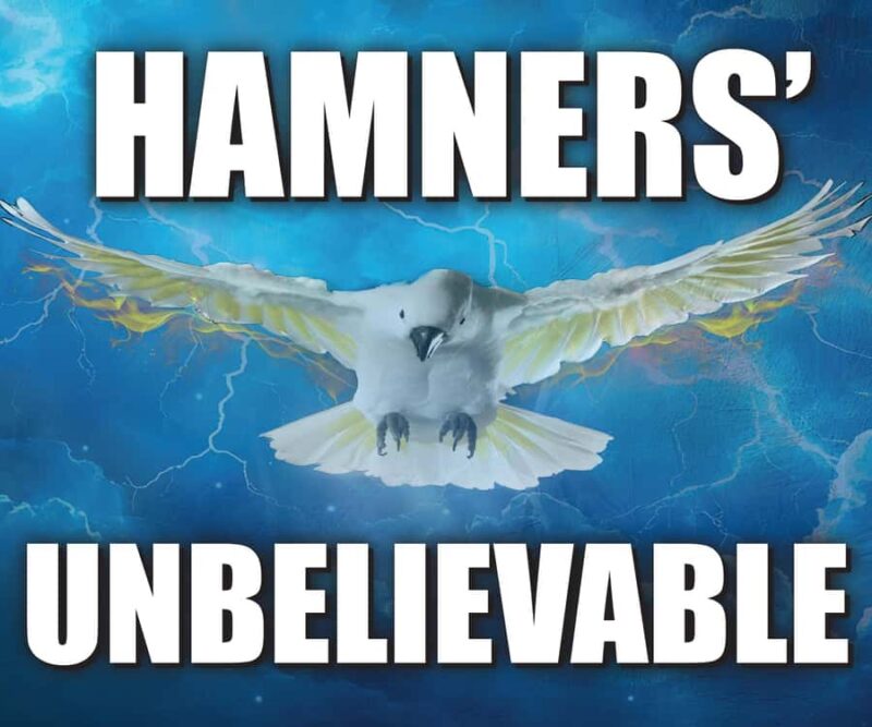 Branson: Hamners' Unbelievable Variety Show Entry Ticket - Talented Singers and Vocal Performers: Jeff Brandt and Tamra Tinoco