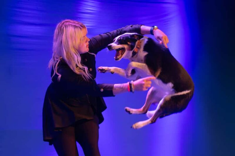 Branson: Pets and Giggles Kid's Comedy Show - Accessibility and Booking Details