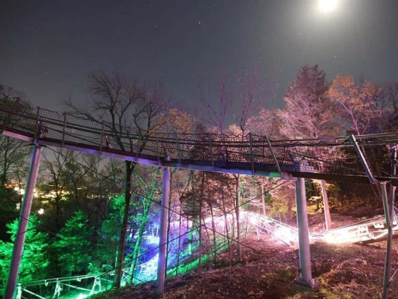 Branson: Thrilling Mountain Coaster Ride - Exciting Control and Scenic Views on the Branson Mountain Coaster