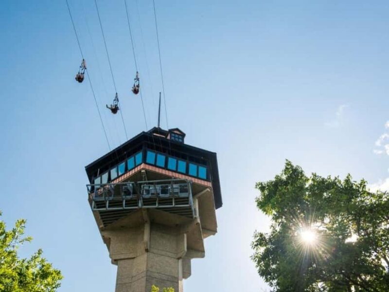 Branson: Vigilante Extreme Ziprider Experience - Safety Protocols and Participant Requirements