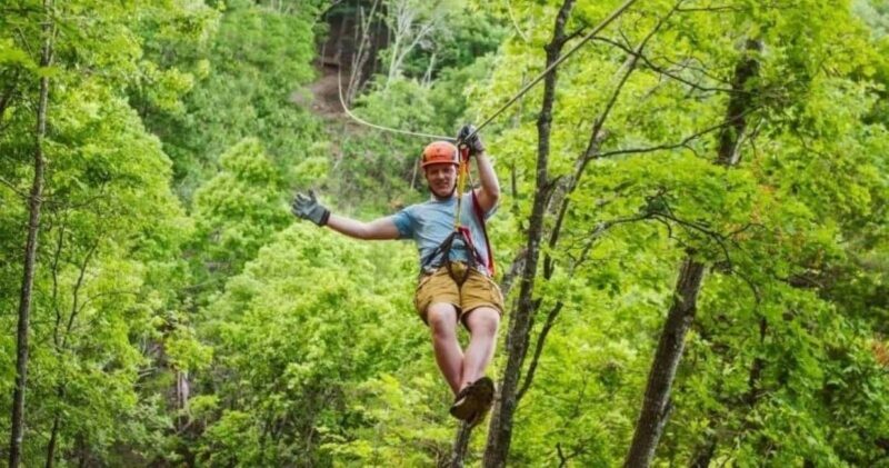 Branson: Zipline Canopy Tour - Key Points