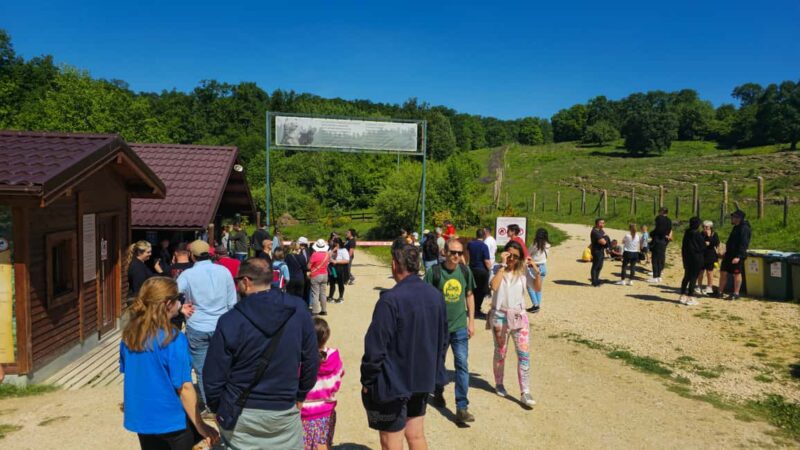 Braov: 3-Day Highlights of Transylvania Private Tour - Visiting Lake Balea: The Alpine Gem at 2040 Meters