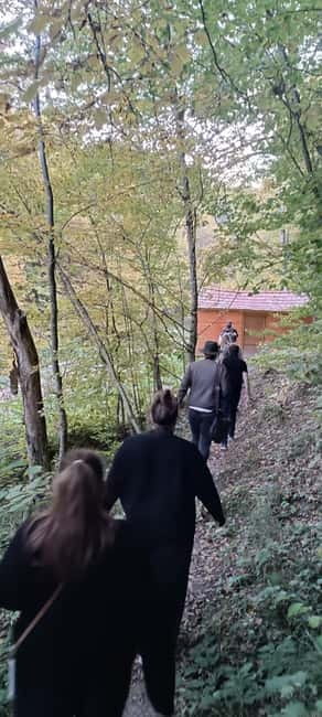 Braov: 4-Hour Bear Watching Tour in Carpathian Mountains - Walking Through the Forest: What to Expect from the Wildlife Encounter