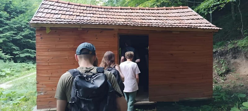 Braov: 4-Hour Bear Watching Tour in Carpathian Mountains - Comparing This Tour to Similar Wildlife Experiences