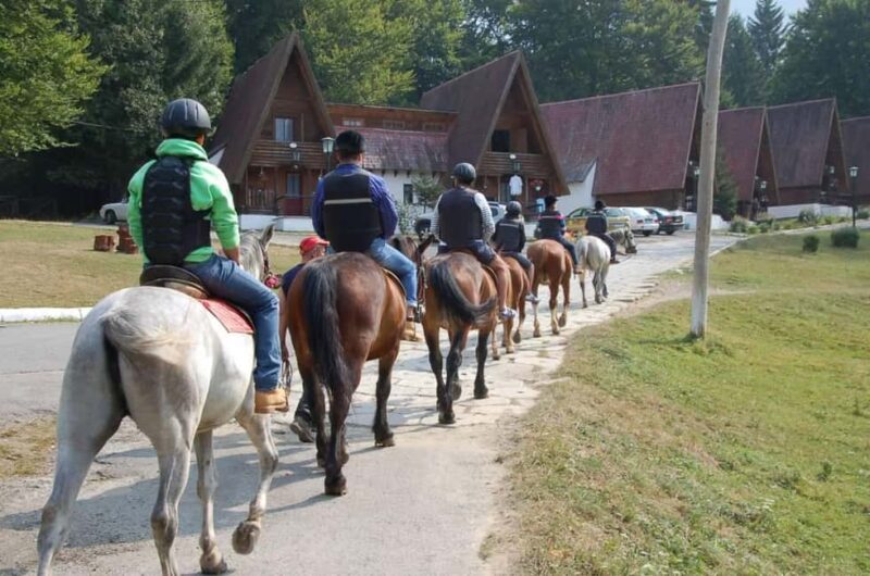 Braov: Horseback Riding Experience - Key Points
