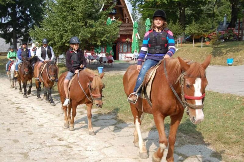 Braov: Horseback Riding Experience - Personalized Guidance from Skilled Instructors