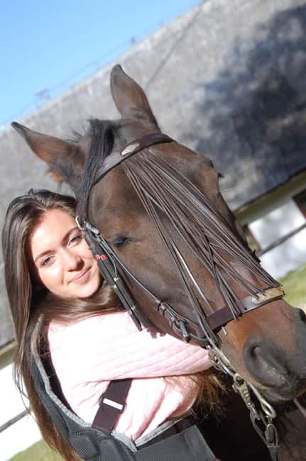 Braov: Horseback Riding Experience - The Experience’s Highlights and What Makes It Special