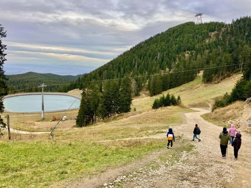 Braov: Milk Cave Guided Tour with Postvarul Hut Visit - Key Points