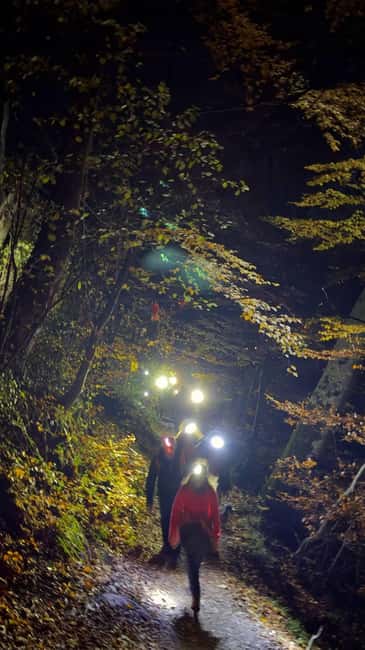 Braov: Night Hike to the Braov Sign with Guide - Key Points