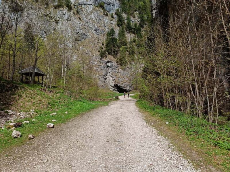 Braov: Private Piatra Craiului Hike to Curmatura Cabin - Key Points