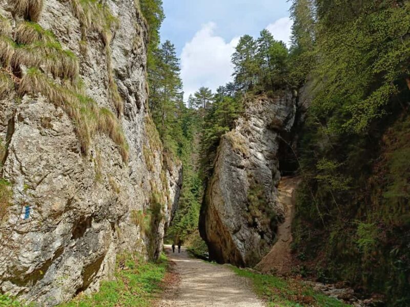 Braov: Private Piatra Craiului Hike to Curmatura Cabin - Introduction to the Braov: Private Piatra Craiului Hike to Curmatura Cabin