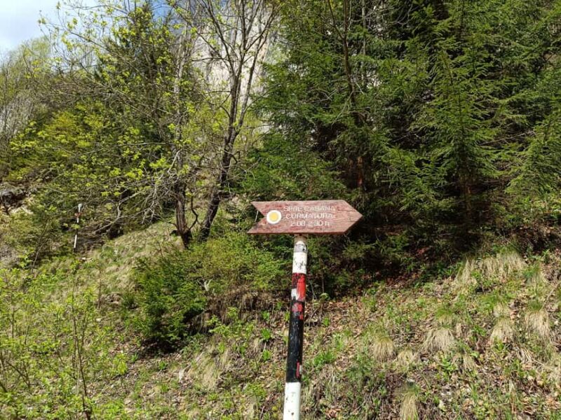 Braov: Private Piatra Craiului Hike to Curmatura Cabin - What to Expect at Curmatura Cabin and Scenic Highlights