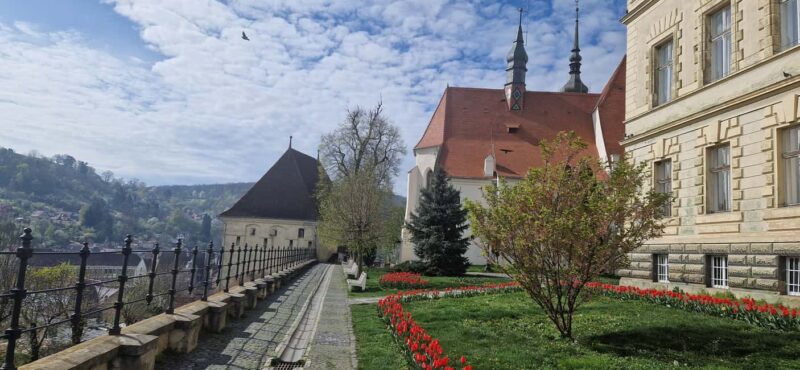 Braov: Sighioara, Saschiz & Viscri UNESCO Day Trip - Key Points