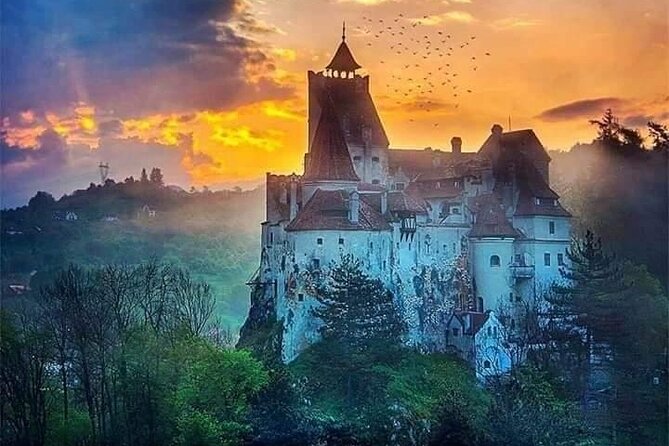 Brasov: Bear Sanctuary, Bran Castle & Rasnov Fortress GUIDED Tour - Bran Castle: Dracula’s Legendary Residence
