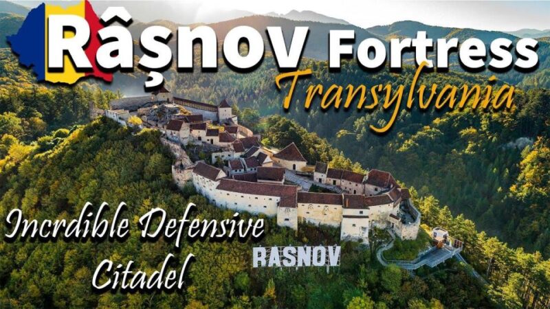 Brasov: Bear Sanctuary, Dracula Castle, and Rânov Fortress - What People Say About the Tour Experience