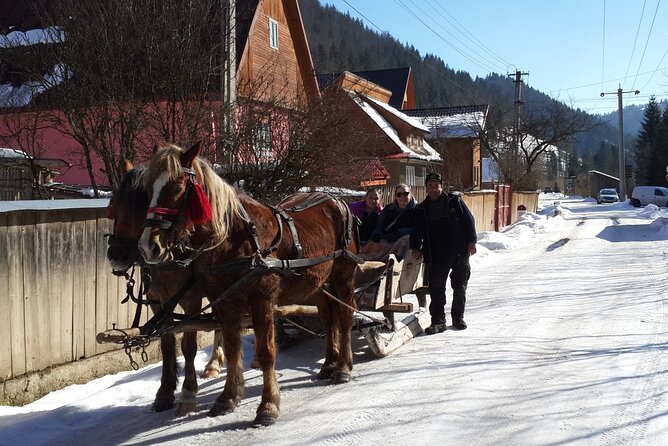 Brasov: Bears Sanctuary, Rasnov Fortress, Bran Castle GUIDED Tour - Logistics and Transportation