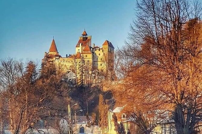 Brasov: Bears Sanctuary, Rasnov Fortress, Bran Castle GUIDED Tour - The Guides’ Expertise and Personalities