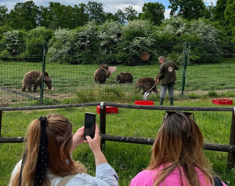 Brasov: Bran Castle, Bear Sanctuary, Rasnov (Peles Optional) - Explore Brasov’s Top Landmarks with a Guided Adventure