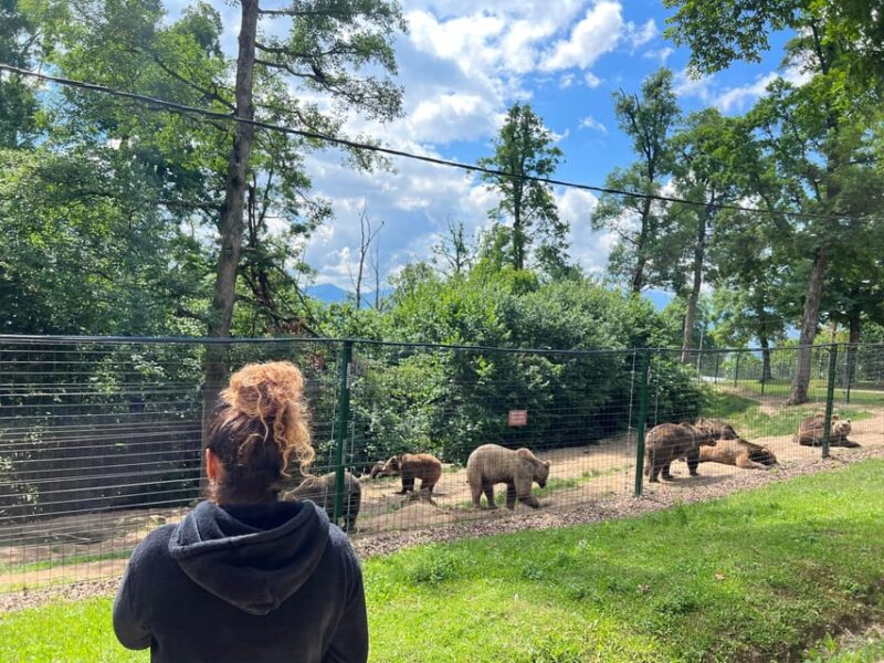 Brasov: Bran Castle, Bear Sanctuary, Rasnov (Peles Optional) - Key Points