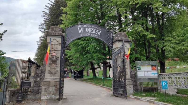 Brasov: Bran, Peles and Cantacuzino Castles Day Tour - Explore the Best of Transylvania with a Focused Small-Group Tour