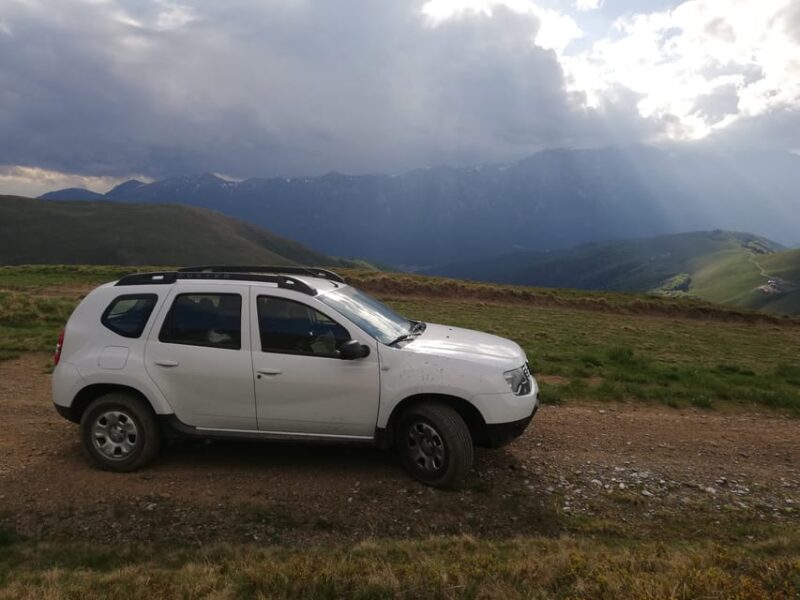 Brasov: Brown Bear & Wildlife Watching - The Role of the Forest Ranger and Guided Experience