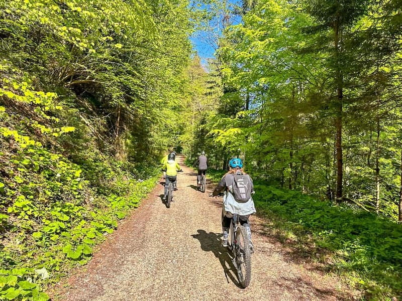 Brasov: eBike Tour to Poiana Brasov (Old Town & Forest) - Starting Point at Lidl in Brasov’s Old Town