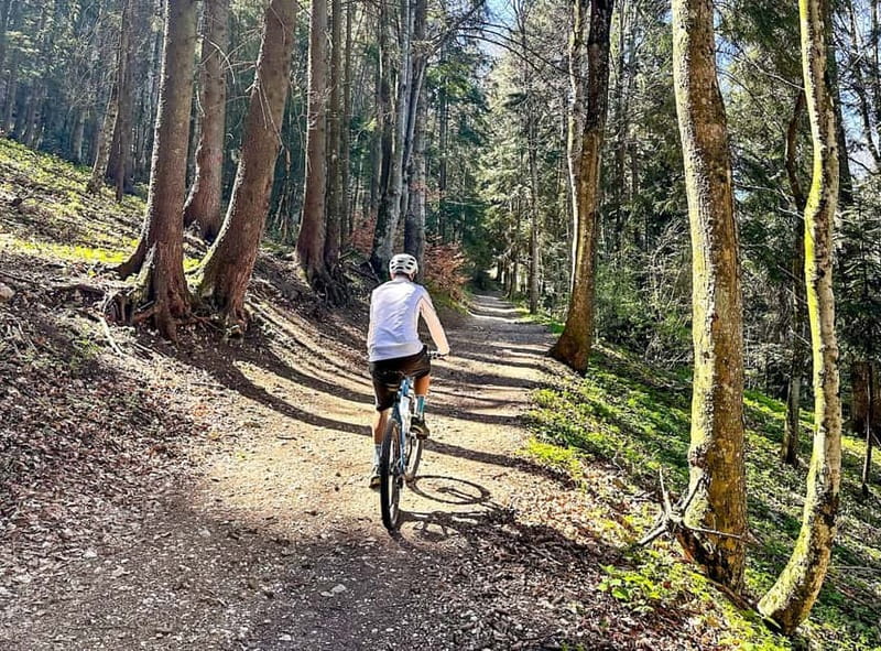 Brasov: eBike Tour to Poiana Brasov (Old Town & Forest) - Visiting Romania’s Premier Ski Resort