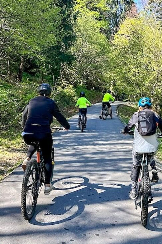 Brasov: eBike Tour to Poiana Brasov (Old Town & Forest) - Inclusions and Practical Details