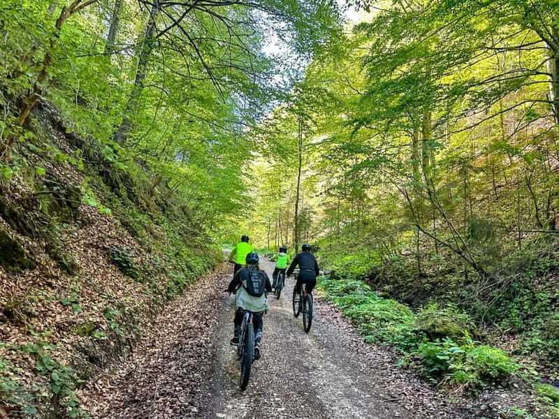 Brasov: eBike Tour to Poiana Brasov (Old Town & Forest) - Why Choose This eBike Tour?