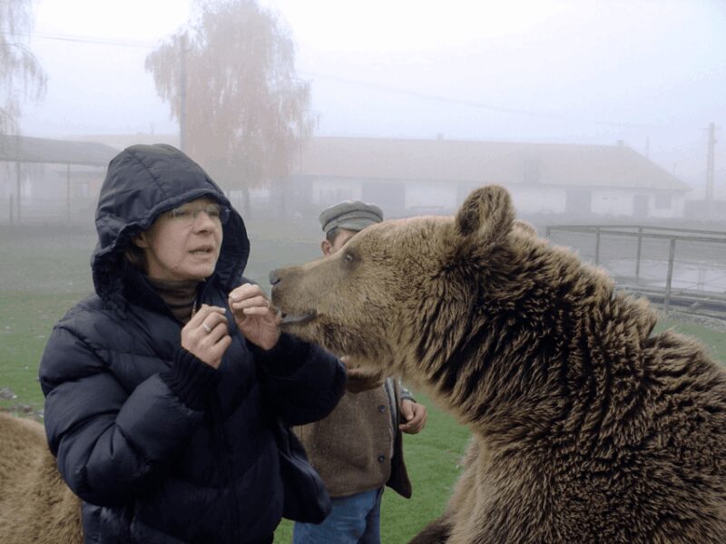 Brasov: Libearty Bear Sanctuary - Explore the Largest Animal Welfare Sanctuary in Europe Near Brasov