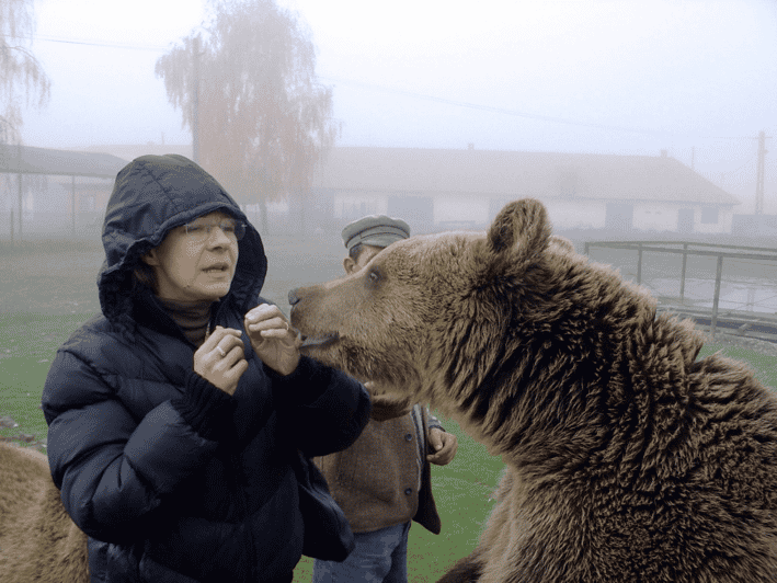 Brasov: Libearty Bear Sanctuary - The Size and Scope of the Sanctuary