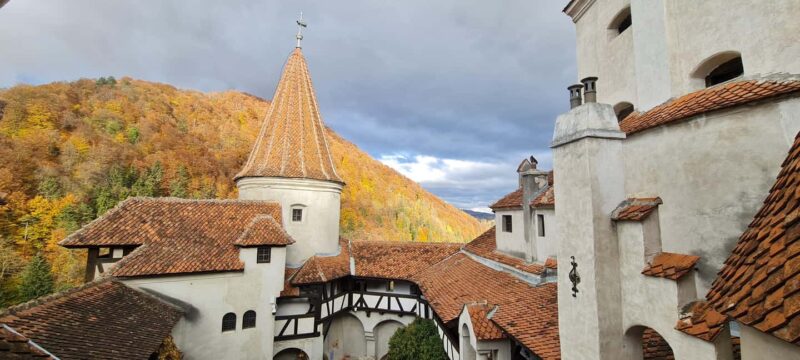 Brasov: Peles Castle, Bran Castle & Belvedere Viewpoint - Key Points