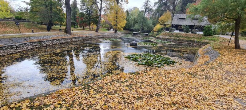 Brasov: Peles Castle, Bran Castle & Belvedere Viewpoint - Rasnov Fortress: A Compact Historic Stronghold
