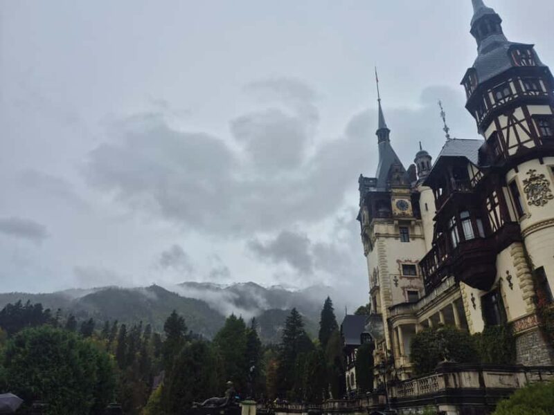 Brasov: Peles Castle, Bran Castle & Belvedere Viewpoint - Who Should Book This Tour?