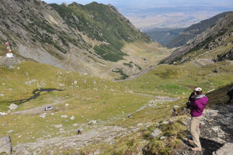 Brasov: Private Fagaras Mountains Trekking Tour - The Guide’s Role and Expertise