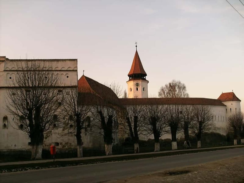 Brasov: Saxon Fortified Churches Day Tour with Guide - What You Need to Know Before Booking