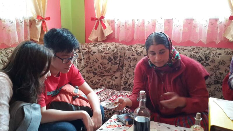 Brasov: Sighisoara, Biertan & Romani Culture Guided Tour - Key Points