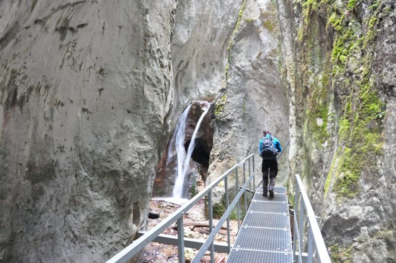 Brasov: Small-Group 7 Ladders Canyon Day Trip - Choosing Your Return Route: Easy or More Challenging
