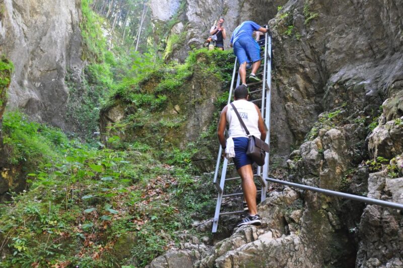 Brasov: Small-Group 7 Ladders Canyon Day Trip - The Experience of the Guides
