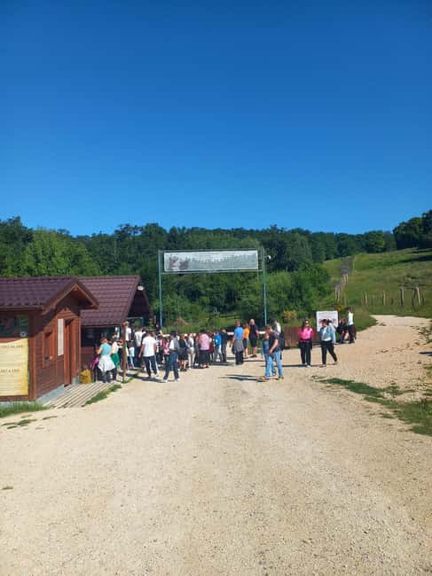 Brasov: Tour with Transfer Libearty Bear Sanctuary - Learning About Bear Rescue and Conservation Stories
