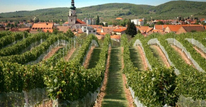 Bratislava: 6,5-Hour Carpathian Wine Tour and Tasting - Exploring Modra: Birthplace of a Slovak Hero