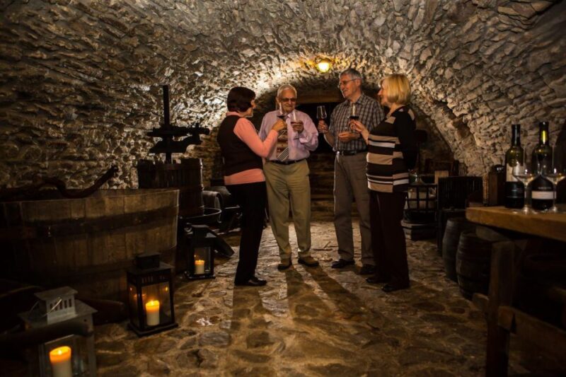 Bratislava: 6,5-Hour Carpathian Wine Tour and Tasting - Wine Tasting at a Slovak Vineyard