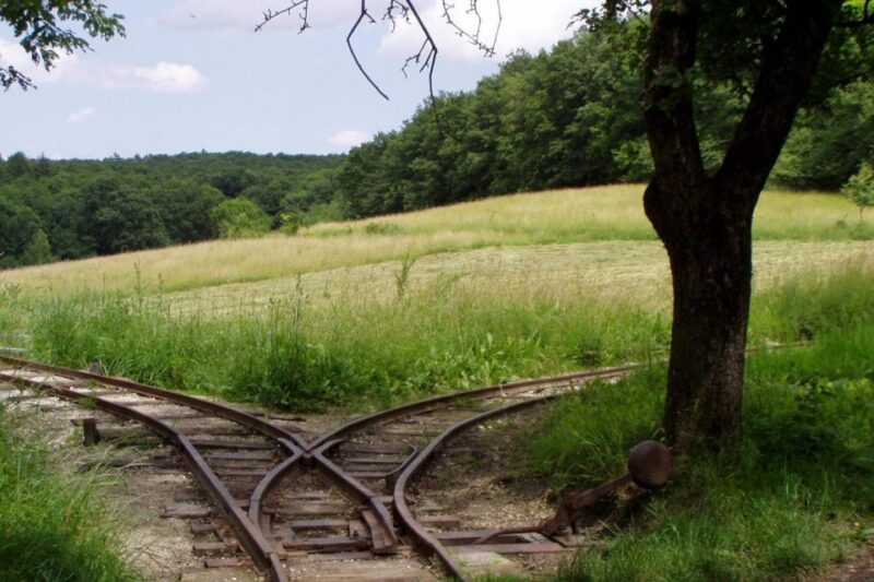 Bratislava: 6,5-Hour Carpathian Wine Tour and Tasting - Who Will Appreciate This Tour?