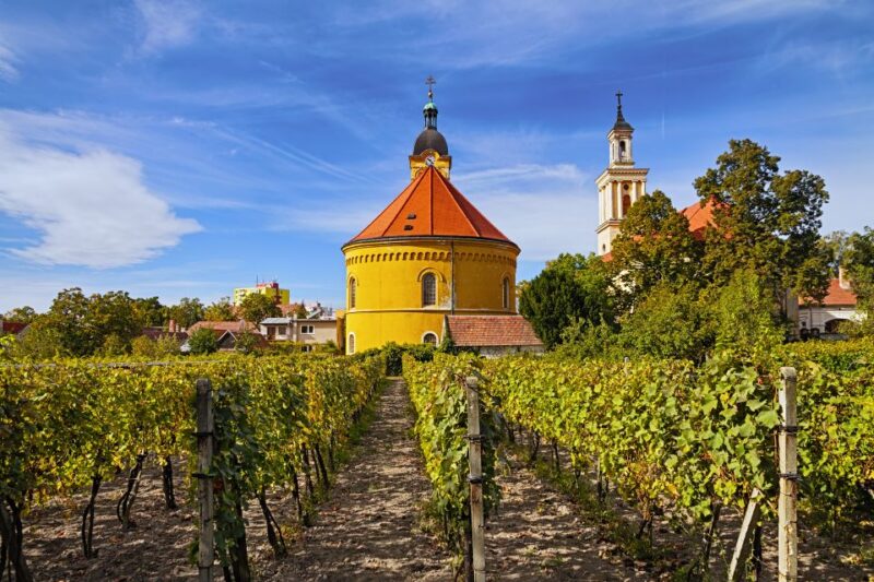 Bratislava: 6,5-Hour Carpathian Wine Tour and Tasting - Bratislava Carpathian Wine Tour: Final Thoughts