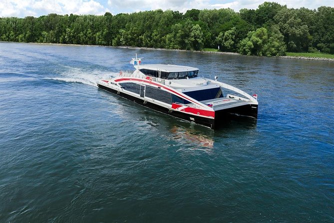 Bratislava Day Trip from Vienna With Catamaran Cruise on Danube - Free Time to Discover Hidden Gems and Local Life