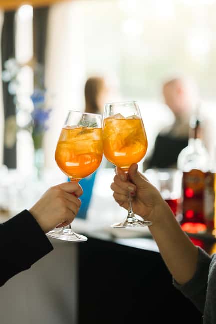 Bratislava: Gourmet Goose Dinner with Cruise on Danube - Starting Point and Timing for the Goose Feast